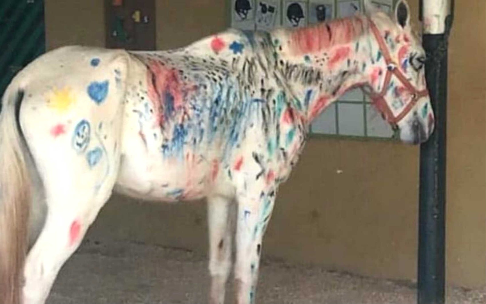Cavalo é rabiscado em 'atividade pedagógica' de colônia de férias