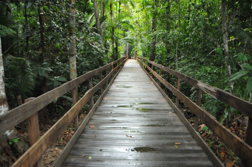 LAZER – Parque Natural oferece trilhas durante o feriado LAZER – Parque Natural oferece trilhas durante o feriado