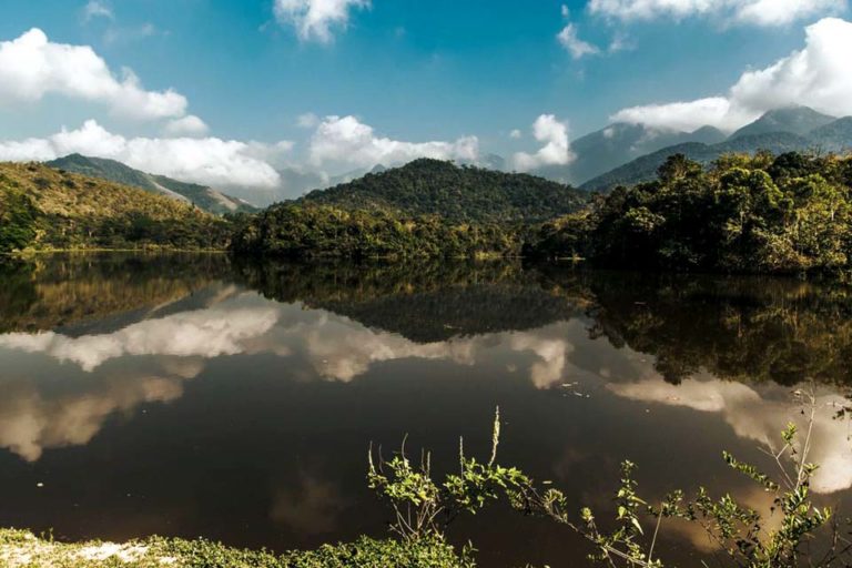 Projeto Guapiaçu lança trilha virtual na Semana do Meio Ambiente 20 Projeto Guapiaçu lança trilha virtual na Semana do Meio Ambiente