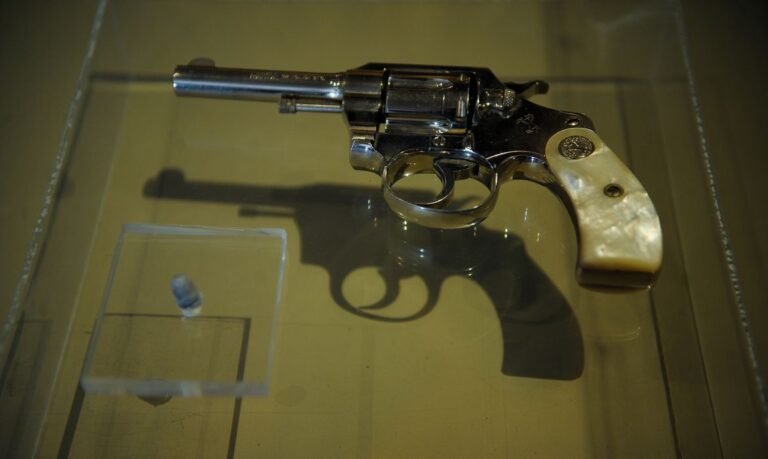 Fachin vota contra decreto presidencial sobre posse de armas 17 Fachin vota contra decreto presidencial sobre posse de armas