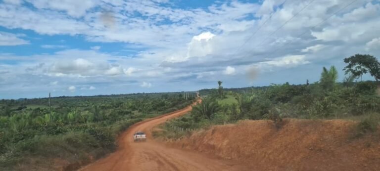 DER executa manutenção na RO-205 e planeja melhorias no trecho que liga Machadinho D’Oeste ao distrito de Guatá, no Mato Grosso 17 DER executa manutenção na RO-205 e planeja melhorias no trecho que liga Machadinho D’Oeste ao distrito de Guatá, no Mato Grosso