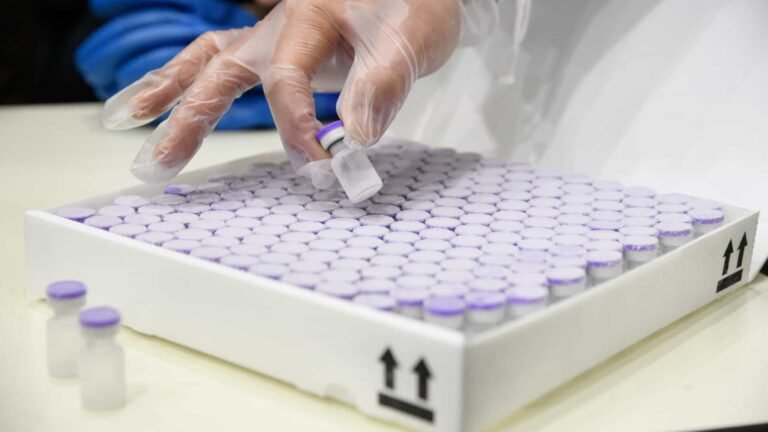 Entenda o processo de análise da Anvisa para aprovar vacinas anti-Covid 5 Entenda o processo de análise da Anvisa para aprovar vacinas anti-Covid