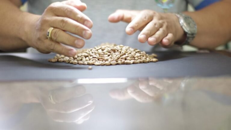 Governo de Rondônia lança Chamamento Público para credenciar instituições interessadas em adquirir secadores de café 3 Governo de Rondônia lança Chamamento Público para credenciar instituições interessadas em adquirir secadores de café