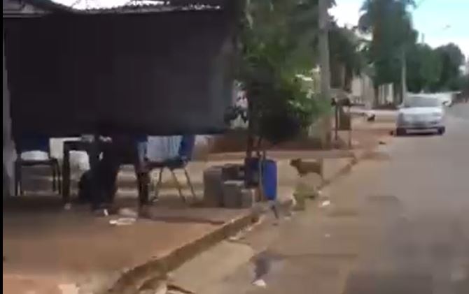 Homem endemoniado esfaqueia esposa até a morte em bar; veja vídeo