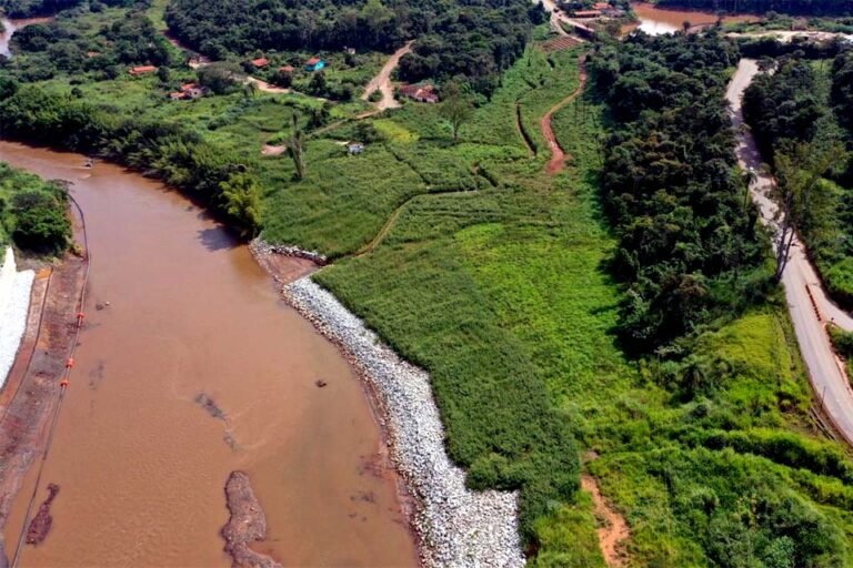 Reflorestamento em Brumadinho usa técnicas inéditas, mas só atingiu 1% 9 Reflorestamento em Brumadinho usa técnicas inéditas, mas só atingiu 1%