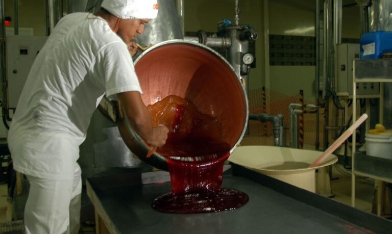 CNI: pequenas indústrias apresentam evolução positiva no 2º trimestre 12 CNI: pequenas indústrias apresentam evolução positiva no 2º trimestre