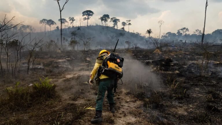 Registros de queimadas sobem 42% de 2017 a 2020 no Brasil 5 Registros de queimadas sobem 42% de 2017 a 2020 no Brasil