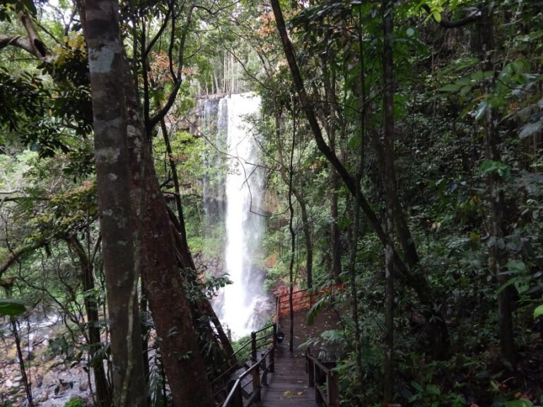 Decreto prevê implantação de Instâncias de Governança Regionais para desenvolvimento do Turismo, em Rondônia