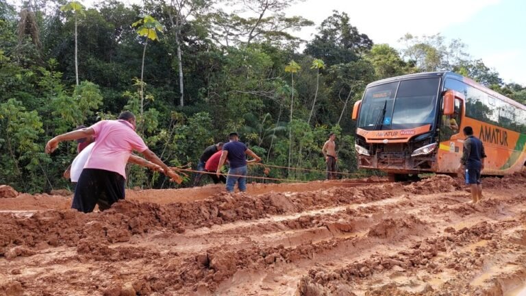 Desafios ambientais na BR-319: Estudo revela potenciais impactos em área equivalente a SP