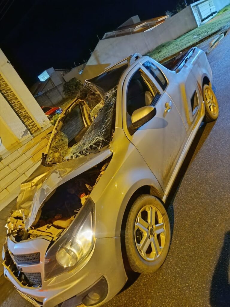 Colisão com vaca causa perda total de pick-up em RO 7 Colisão com vaca causa perda total de pick-up em RO