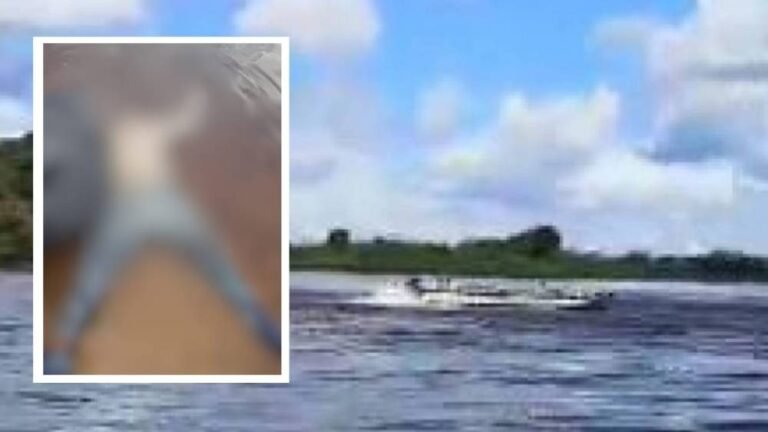 Corpo de homem é encontrado boiando no rio Guaporé após dias de buscas 17 Corpo de homem é encontrado boiando no rio Guaporé após dias de buscas
