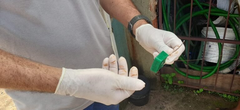 Prefeitura de Porto Velho reforça cuidados e prevenção contra a leptospirose 9 Prefeitura de Porto Velho reforça cuidados e prevenção contra a leptospirose