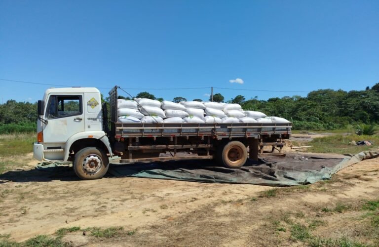 Produtor rural que aderiu ao programa da Prefeitura de Porto Velho colheu 160 sacas de café 7 Produtor rural que aderiu ao programa da Prefeitura de Porto Velho colheu 160 sacas de café