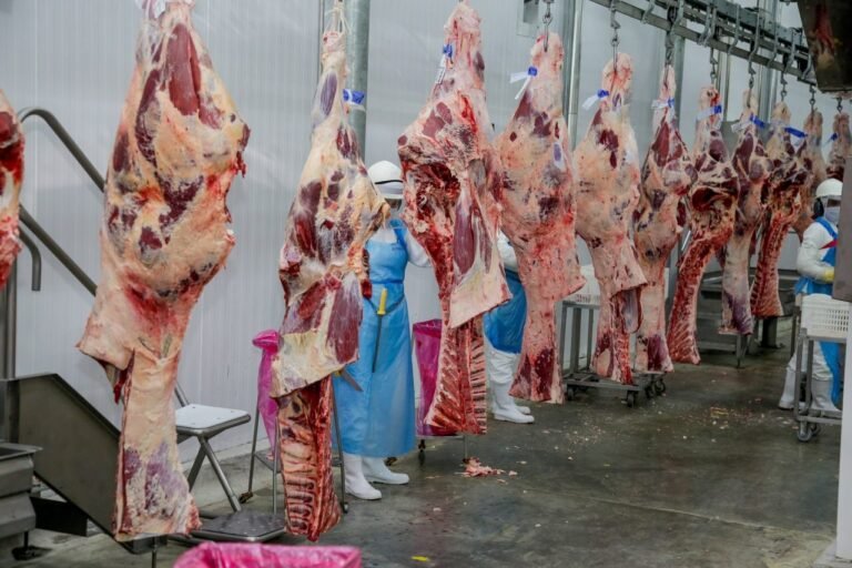 Reunião discute viabilizar a exportação da carne bovina de Rondônia pelo rio Madeira 14 Reunião discute viabilizar a exportação da carne bovina de Rondônia pelo rio Madeira