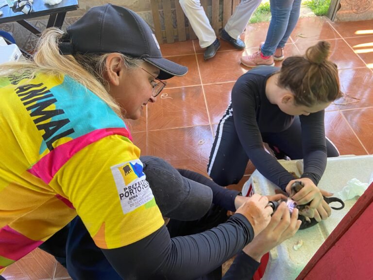 Castra Móvel desce o Baixo Madeira e vereadora Márcia Socorristas Animais destaca importância dos serviços 8 Castra Móvel desce o Baixo Madeira e vereadora Márcia Socorristas Animais destaca importância dos serviços