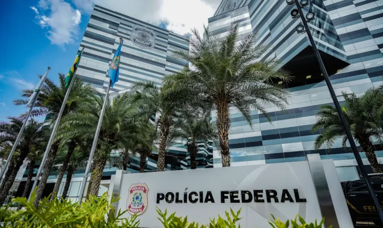 Operação combate desmatamento criminoso na Amazônia Legal 20 Operação combate desmatamento criminoso na Amazônia Legal