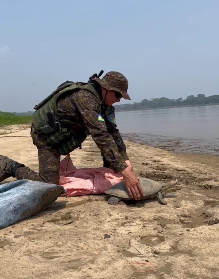 “Operação Águas Seguras” em Rondônia combate crimes nos rios Madeira, Mamoré e Guaporé 2 “Operação Águas Seguras” em Rondônia combate crimes nos rios Madeira, Mamoré e Guaporé