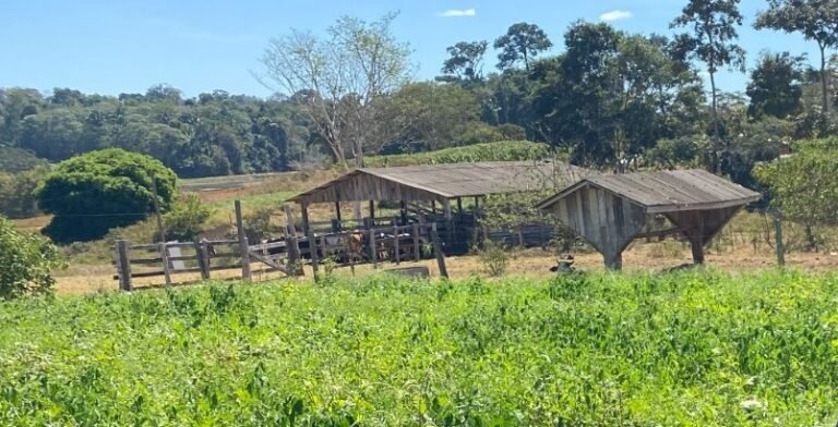 Cláudia de Jesus repassa recursos para Nova União fortalecer agricultura familiar 16 Cláudia de Jesus repassa recursos para Nova União fortalecer agricultura familiar