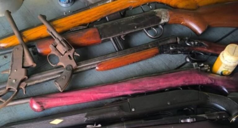 Polícia Civil apreende armas de investigado por violência doméstica em Cacoal 6 Polícia Civil apreende armas de investigado por violência doméstica em Cacoal