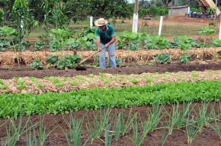 Deputado Alan Queiroz destina R$ 200 mil para aquisição de implementos agrícolas em Alto Paraíso 12 Deputado Alan Queiroz destina R$ 200 mil para aquisição de implementos agrícolas em Alto Paraíso