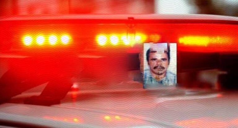 Pescador morre após ataque de abelhas e desaparecimento em rio de Nova Mutum Paraná 6 Pescador morre após ataque de abelhas e desaparecimento em rio de Nova Mutum Paraná