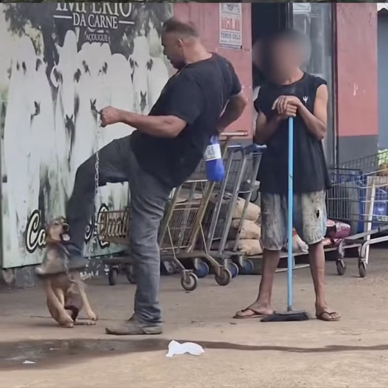 Homem é preso após agredir cachorro com chutes em Porto Velho; vídeo gera revolta nas redes 15 Homem é preso após agredir cachorro com chutes em Porto Velho; vídeo gera revolta nas redes