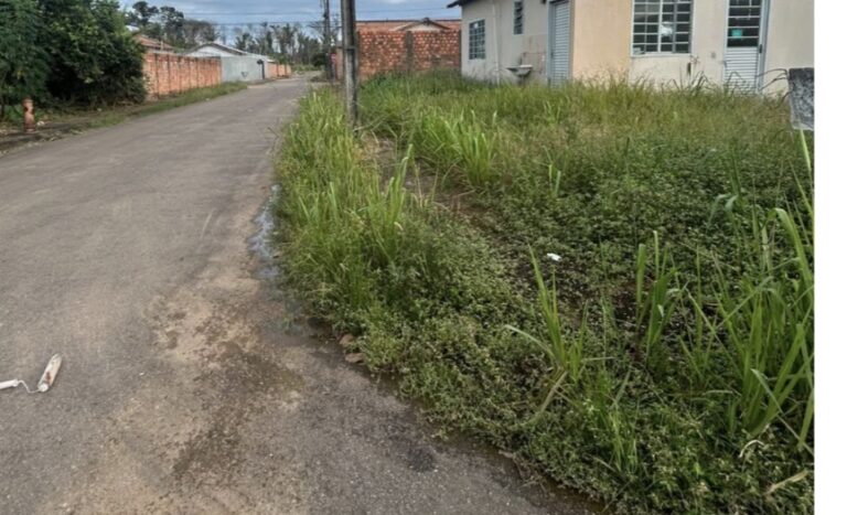 Fernando Silva solicita limpeza e roçagem para garantir mais segurança aos moradores do Residencial Cristal da Calama 15 Fernando Silva solicita limpeza e roçagem para garantir mais segurança aos moradores do Residencial Cristal da Calama
