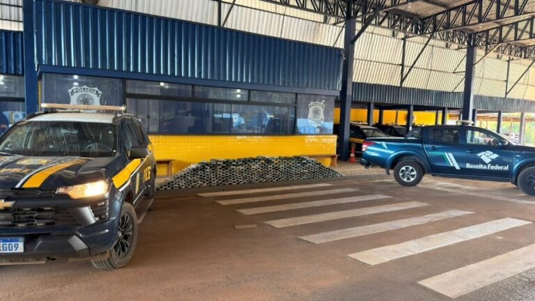 Operação da PRF e Receita Federal apreende 462 kg de drogas escondidos em carga na BR-364 13 Operação da PRF e Receita Federal apreende 462 kg de drogas escondidos em carga na BR-364