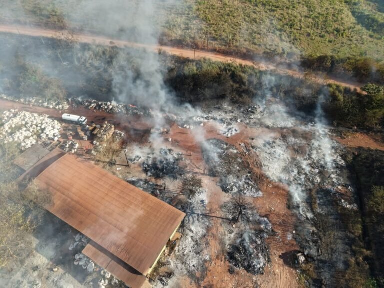 Ação integrada controla incêndio criminoso e evita que chamas avancem na Vila Princesa 16 Ação integrada controla incêndio criminoso e evita que chamas avancem na Vila Princesa