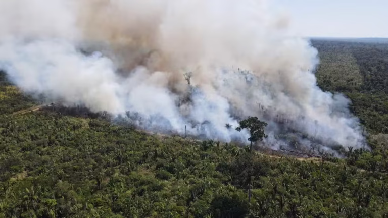 Prefeitura de Porto Velho lança campanha contra queimadas e alerta sobre fiscalização