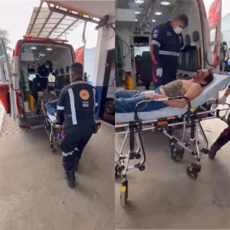 TERROR NA ZONA RURAL: Homem escapa de ataque de onça, mas égua é morta em Porto Velho 12 TERROR NA ZONA RURAL: Homem escapa de ataque de onça, mas égua é morta em Porto Velho