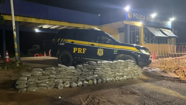 CERCO AO TRÁFICO — Mais de 200 quilos de skunk são apreendidos na BR-364 em Porto Velho 9 CERCO AO TRÁFICO — Mais de 200 quilos de skunk são apreendidos na BR-364 em Porto Velho