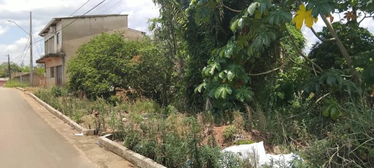 Vereador Léo Alencar alerta prefeitura e proprietários sobre risco à saúde pública causados por terrenos baldios 12 Vereador Léo Alencar alerta prefeitura e proprietários sobre risco à saúde pública causados por terrenos baldios