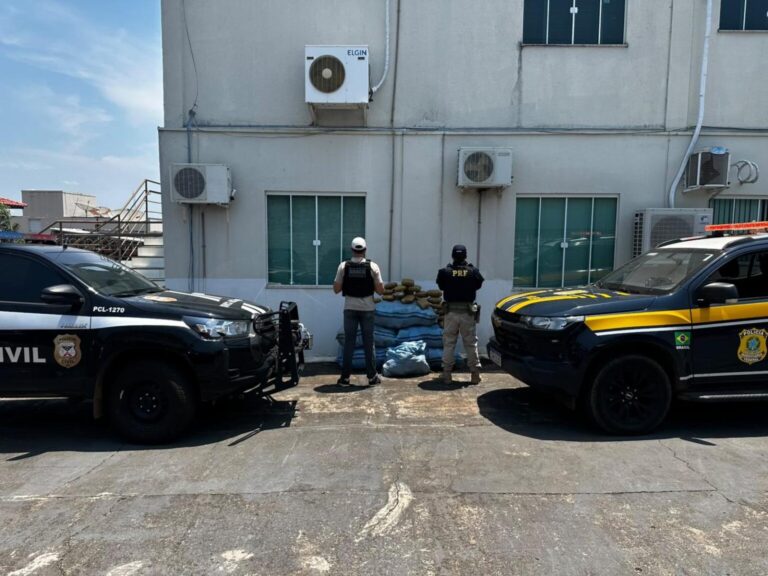 PERSEGUIÇÃO E APREENSÃO - Polícia intercepta cerca de 182 quilos de skunk após fuga de 15 quilômetros em Rondônia 13 PERSEGUIÇÃO E APREENSÃO - Polícia intercepta cerca de 182 quilos de skunk após fuga de 15 quilômetros em Rondônia