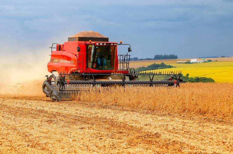 CAFÉ DE RONDÔNIA GANHA FORÇA — Safra chega a 2,88 milhões de sacas e crescimento coloca produção estadual em novo patamar 3 CAFÉ DE RONDÔNIA GANHA FORÇA — Safra chega a 2,88 milhões de sacas e crescimento coloca produção estadual em novo patamar